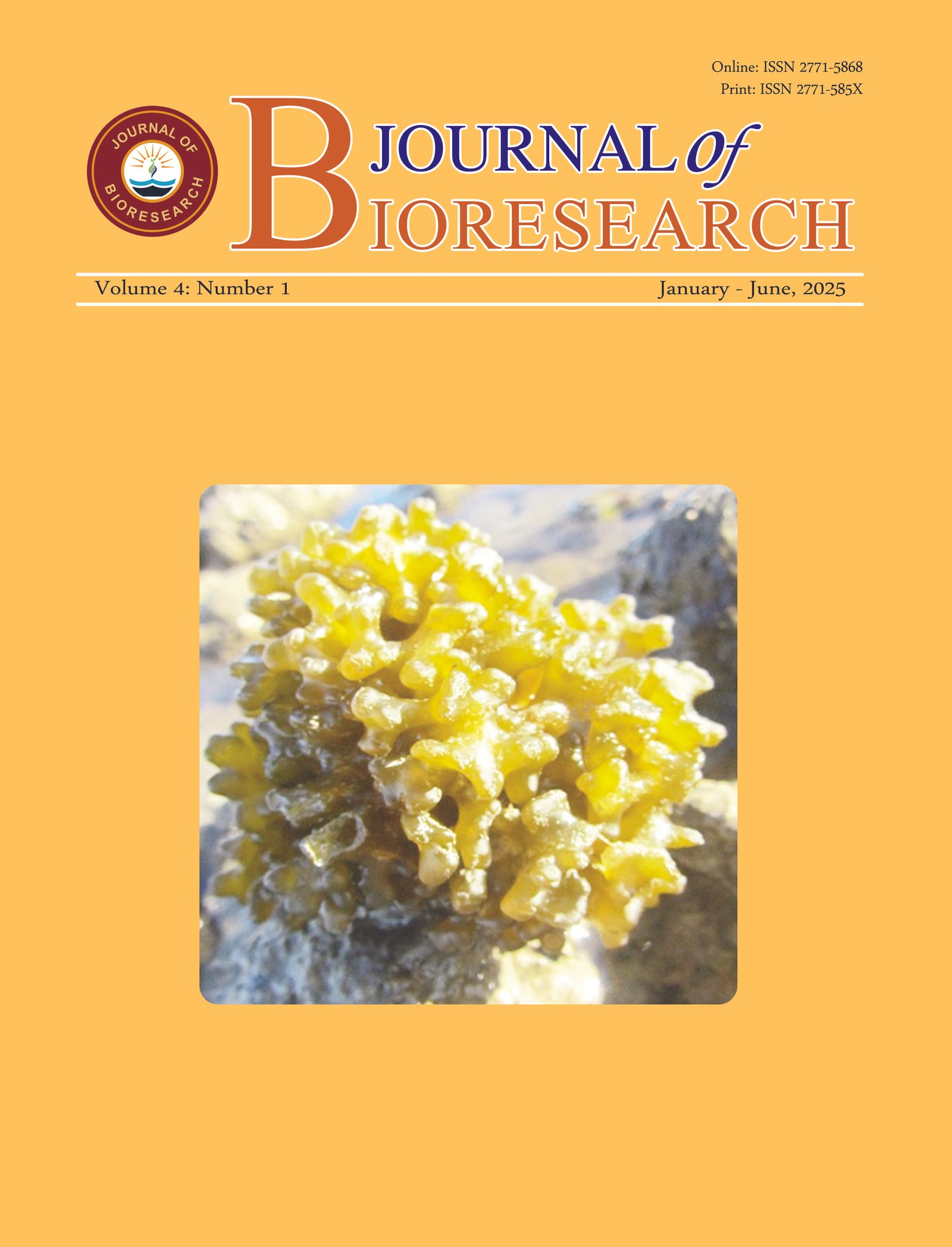 Previous Issue Cover