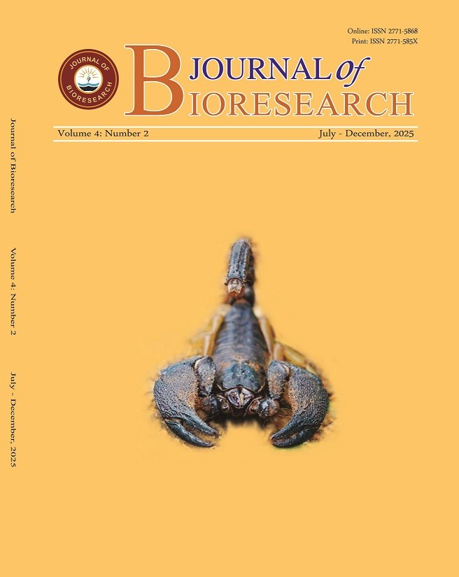Previous Issue