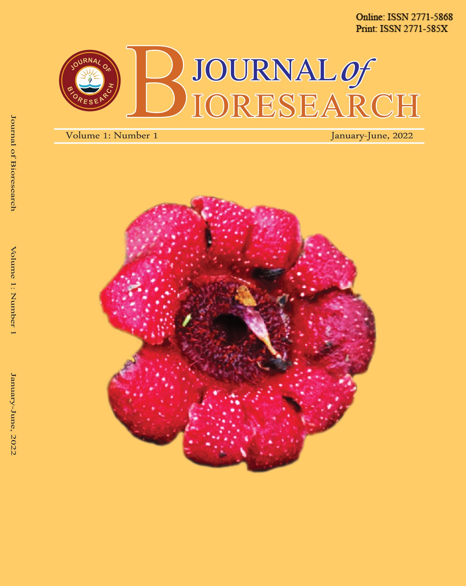 Previous Issue Cover