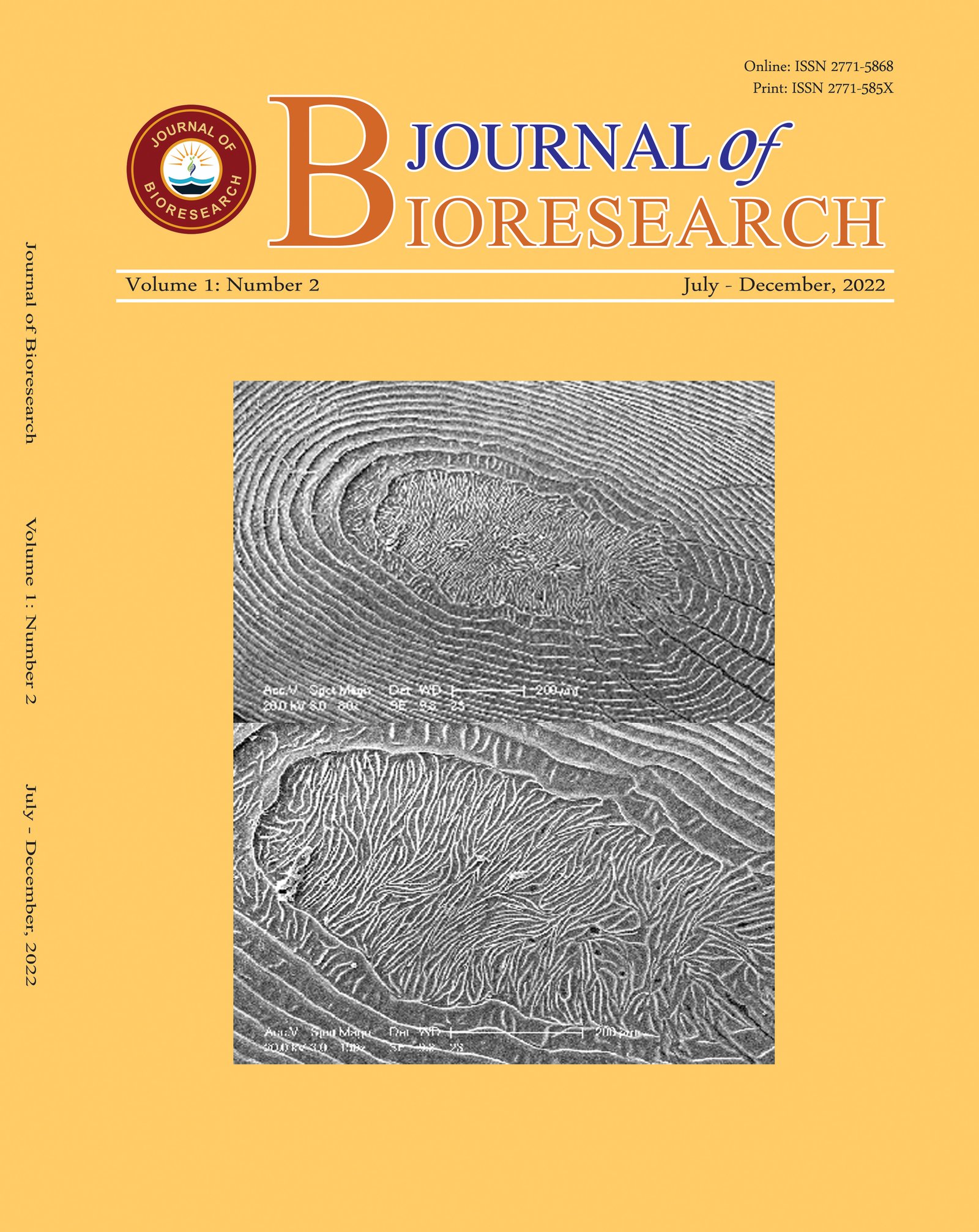 Issue Cover