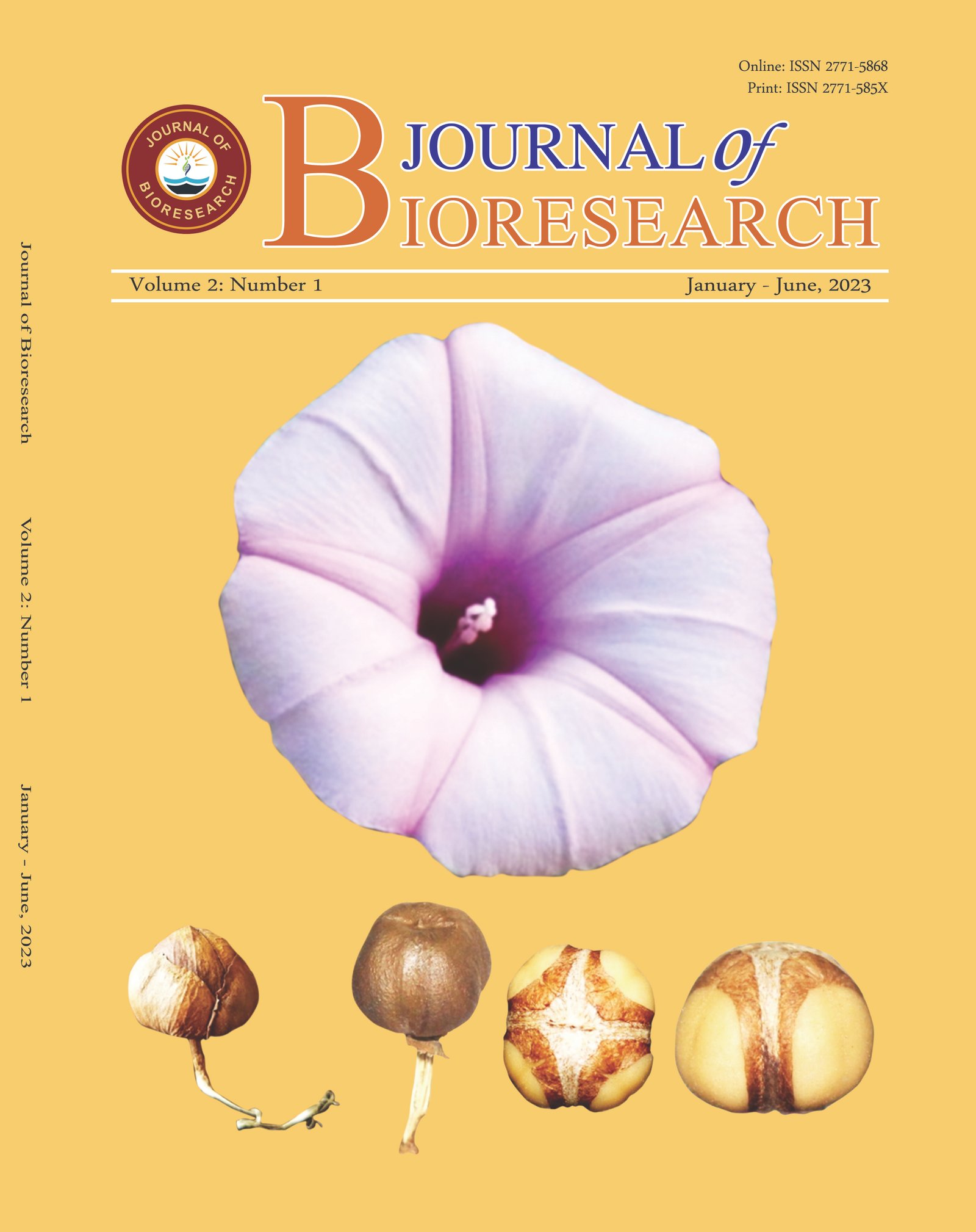 Previous Issue Cover