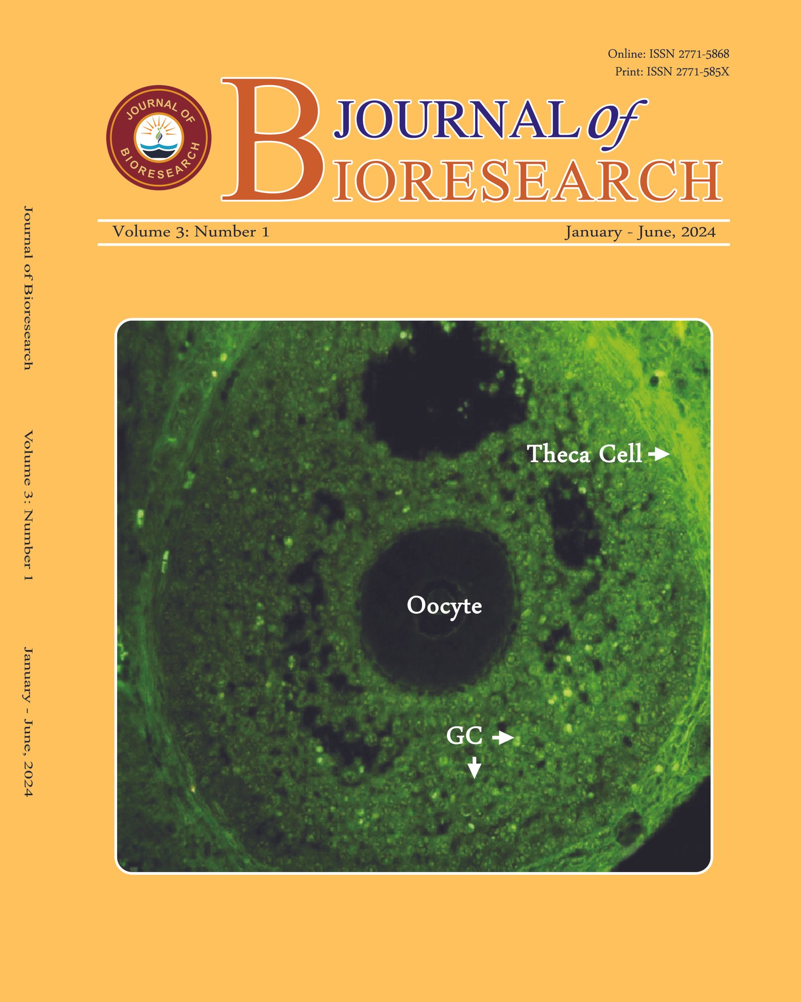 Issue Cover